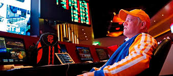 Вход на официальный сайт Casino Malina